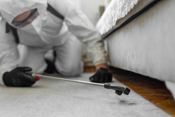 Professional Ant Control technician working in Hancock County County, IA